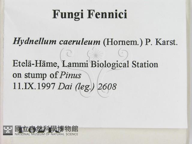 登錄號:F0008215藏品圖，第2張