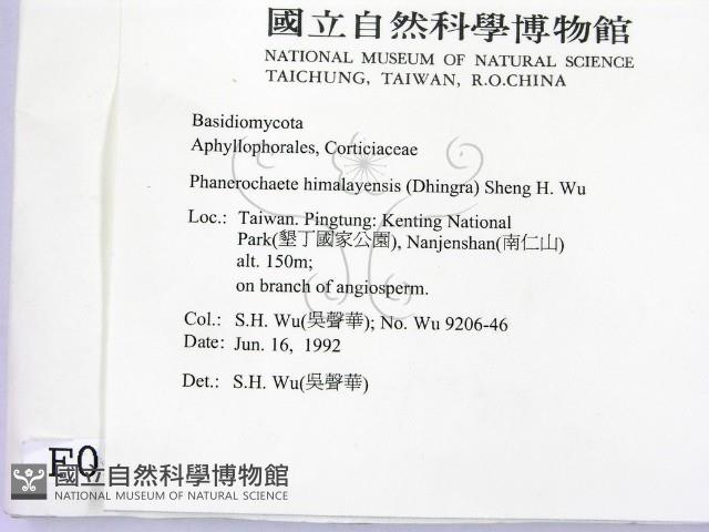 登錄號:F0000215藏品圖，第2張