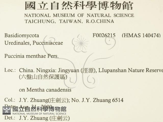 登錄號:F0026215藏品圖，第2張