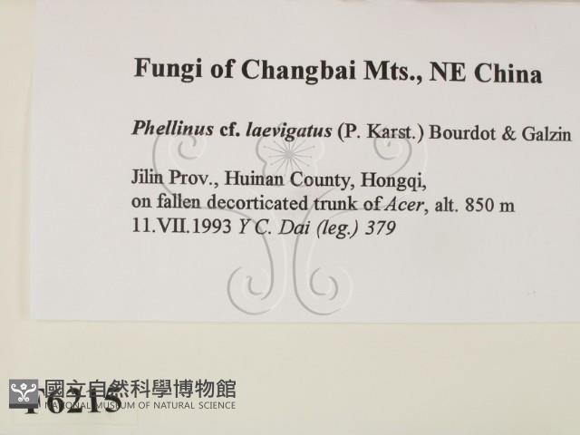 登錄號:F0006215藏品圖，第2張