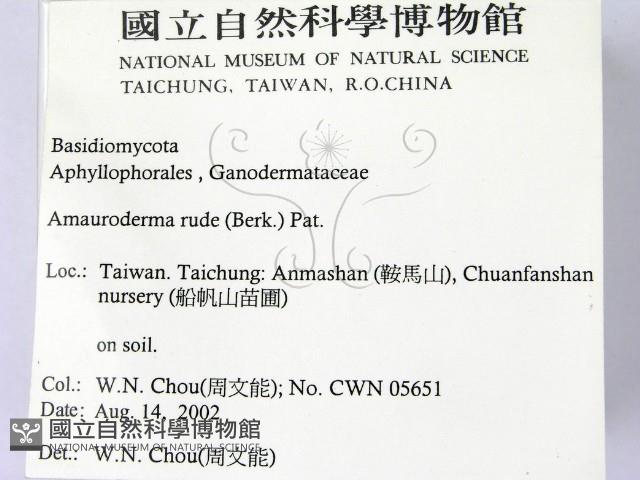 登錄號:F0016215藏品圖，第2張