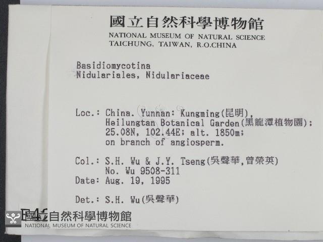 登錄號:F0004215藏品圖，第2張