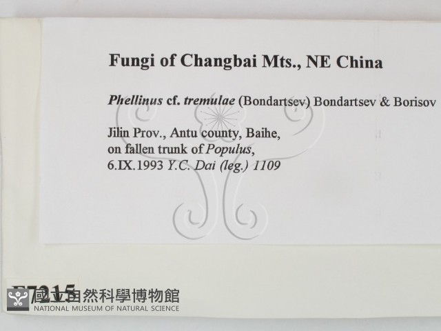 登錄號:F0007215藏品圖，第2張