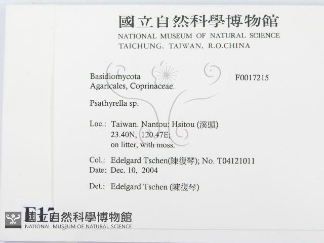 登錄號:F0017215藏品圖，第2張