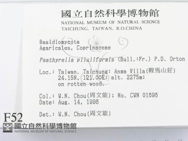 登錄號:F0005215藏品圖，第2張