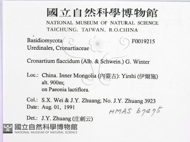 登錄號:F0019215藏品圖，第2張