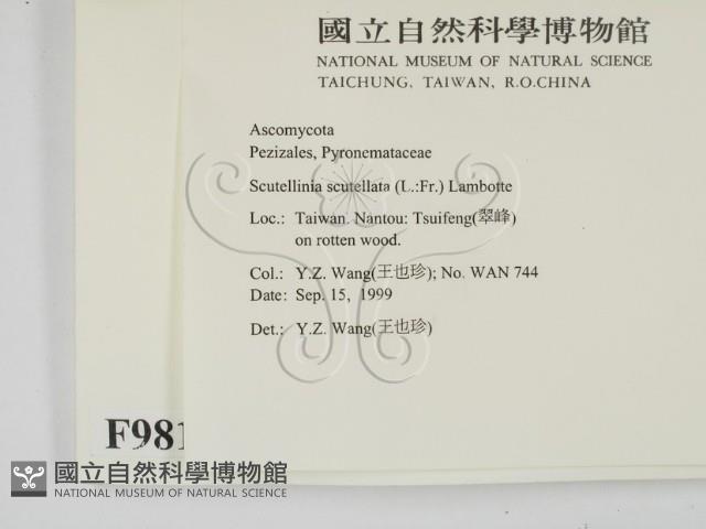 登錄號:F0009815藏品圖，第2張