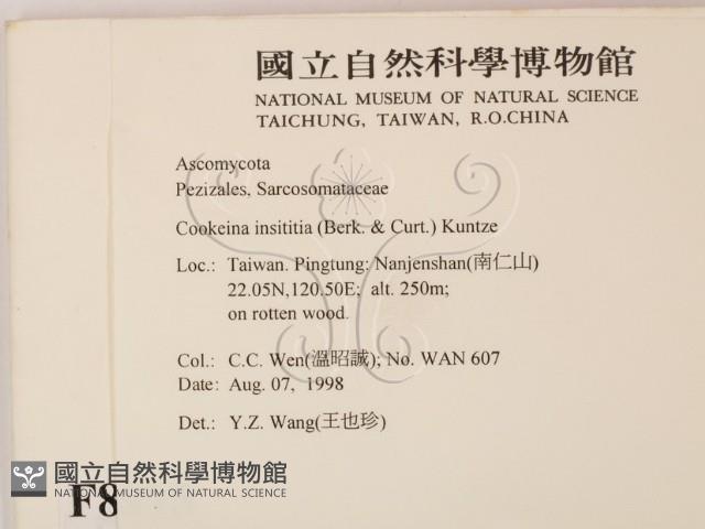 登錄號:F0008915藏品圖，第2張