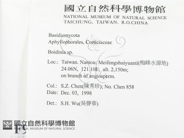 登錄號:F0009915藏品圖，第2張