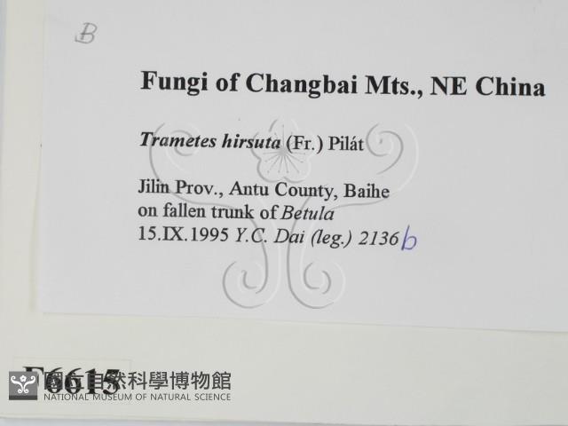 登錄號:F0006615藏品圖，第2張