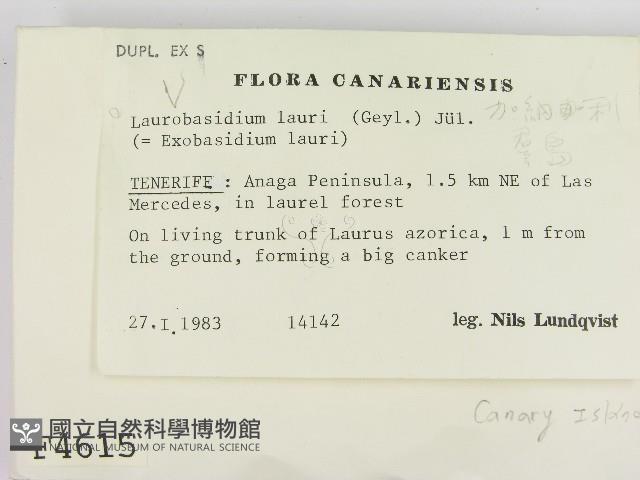 登錄號:F0004615藏品圖，第2張