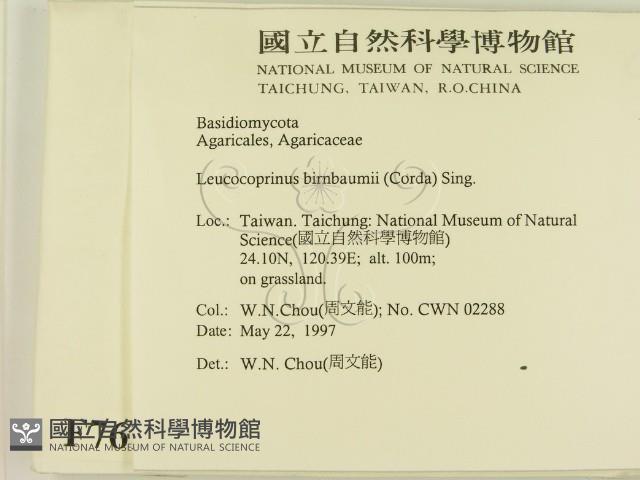 登錄號:F0007615藏品圖，第2張