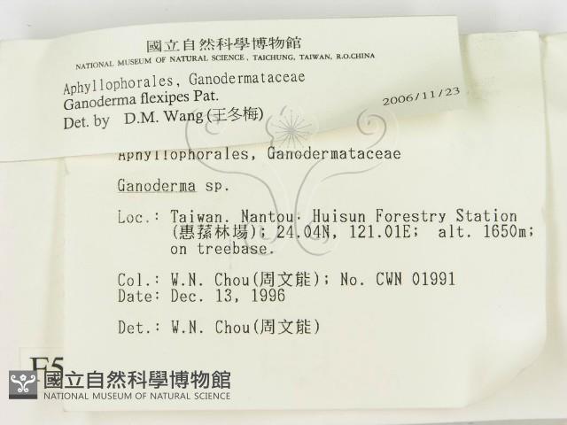 登錄號:F0005615藏品圖，第2張