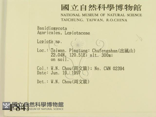 登錄號:F0008415藏品圖，第2張