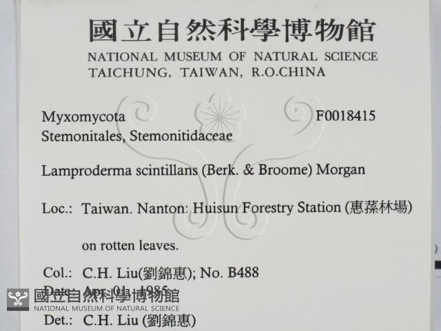 登錄號:F0018415藏品圖，第2張