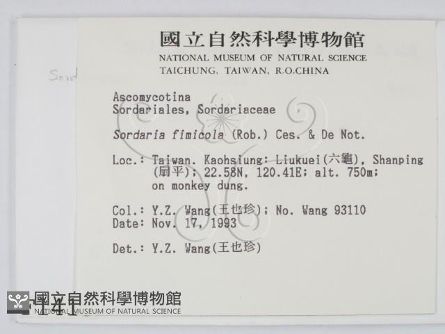 登錄號:F0001415藏品圖，第2張