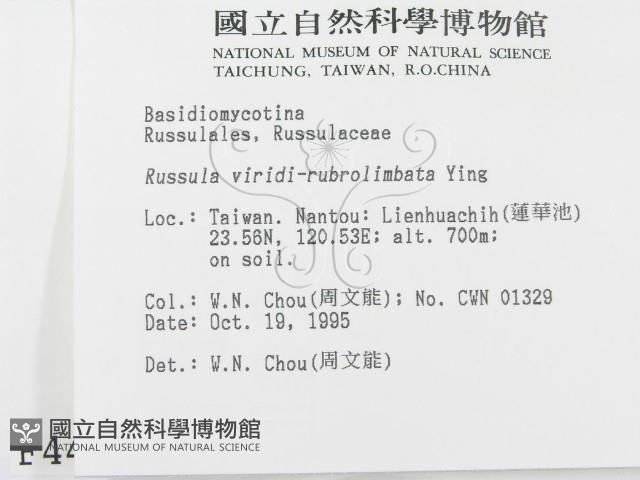 登錄號:F0004415藏品圖，第2張