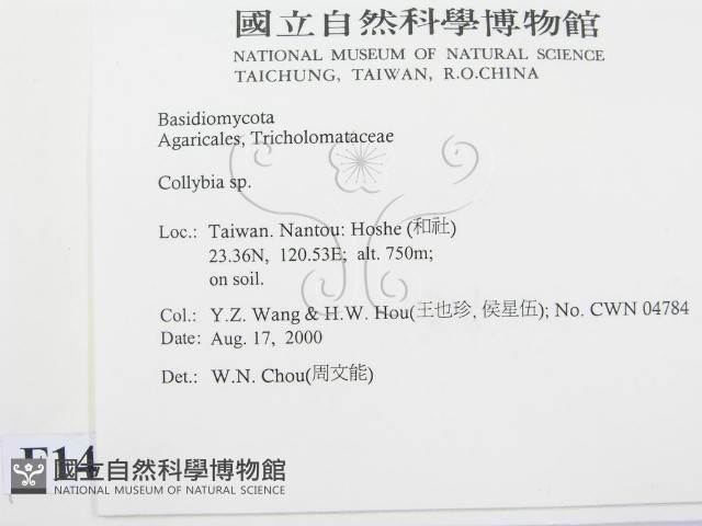 登錄號:F0014415藏品圖，第2張