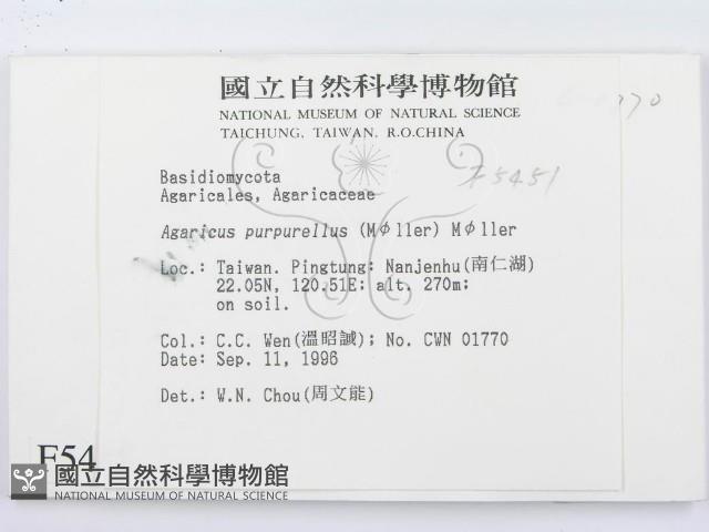 登錄號:F0005415藏品圖，第2張