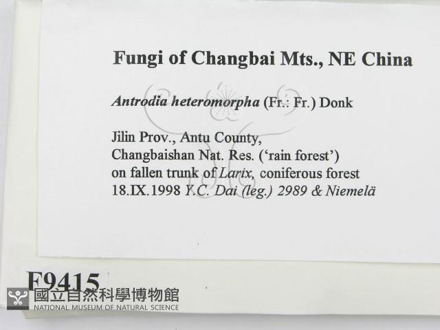 登錄號:F0009415藏品圖，第2張