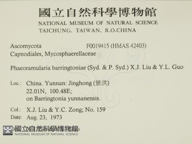 登錄號:F0019415藏品圖，第2張