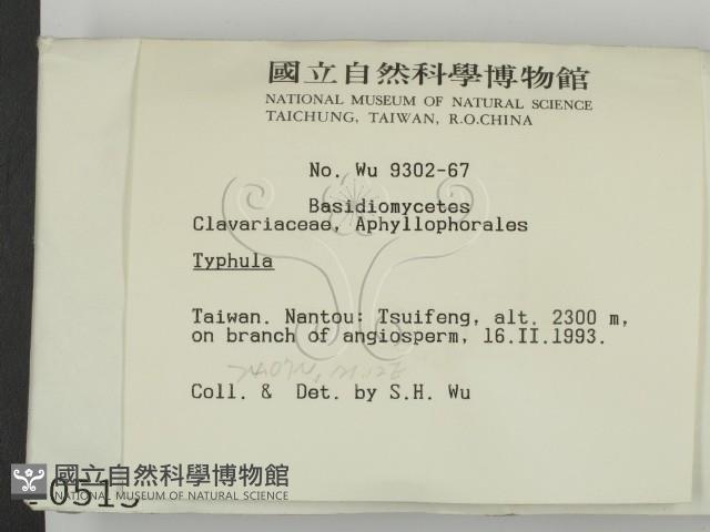 登錄號:F0000515藏品圖，第2張