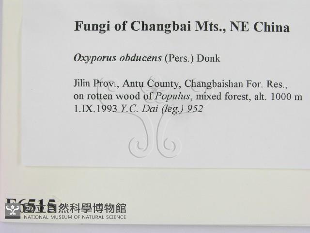 登錄號:F0006515藏品圖，第2張