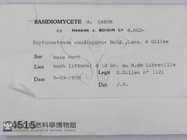 登錄號:F0004515藏品圖，第2張