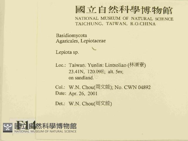 登錄號:F0014515藏品圖，第2張