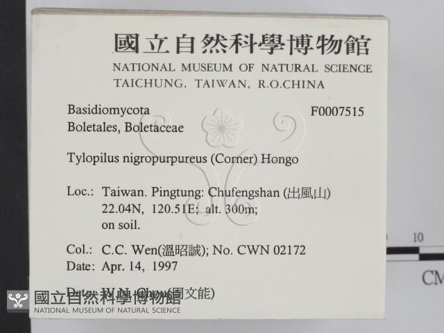 登錄號:F0007515藏品圖，第2張