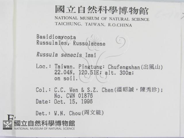 登錄號:F0005515藏品圖，第2張