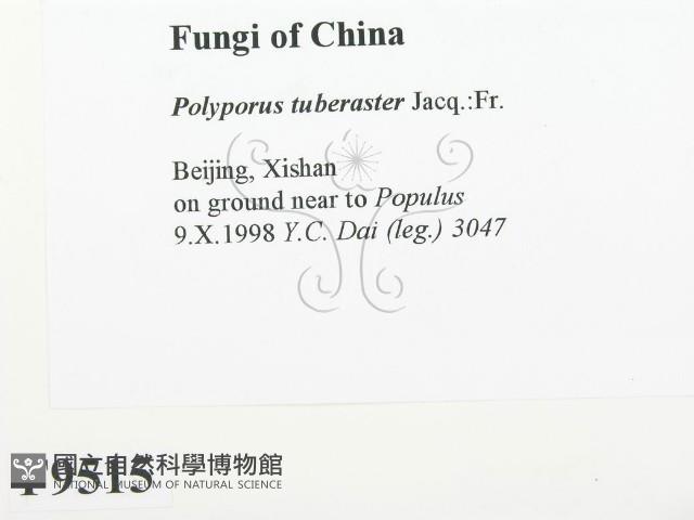 登錄號:F0009515藏品圖，第2張