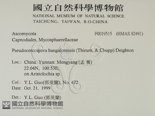 館號:F0019515藏品圖，第2張