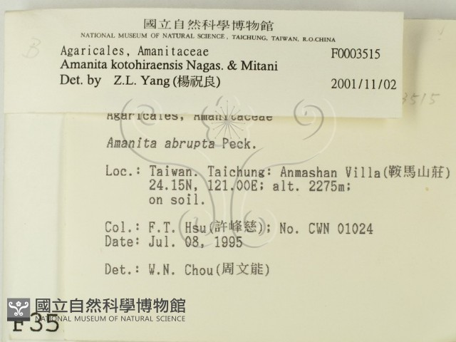 登錄號:F0003515藏品圖，第2張