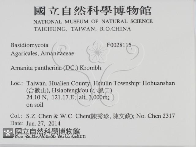 登錄號:F0028115藏品圖，第2張