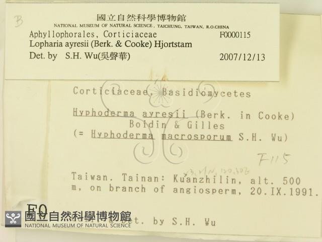 登錄號:F0000115藏品圖，第2張
