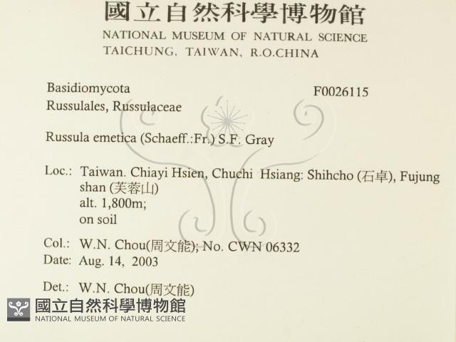 登錄號:F0026115藏品圖，第2張