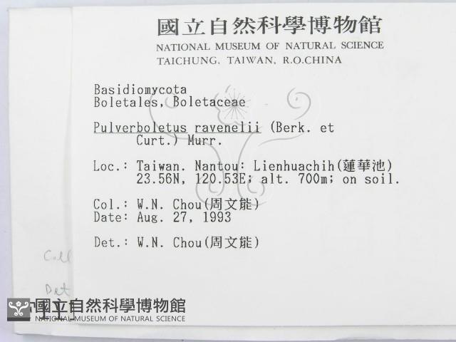登錄號:F0001115藏品圖，第2張