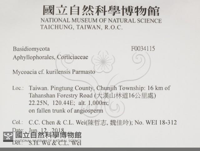 登錄號:F0034115藏品圖，第2張