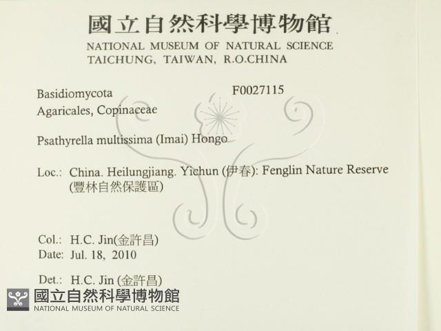 登錄號:F0027115藏品圖，第2張