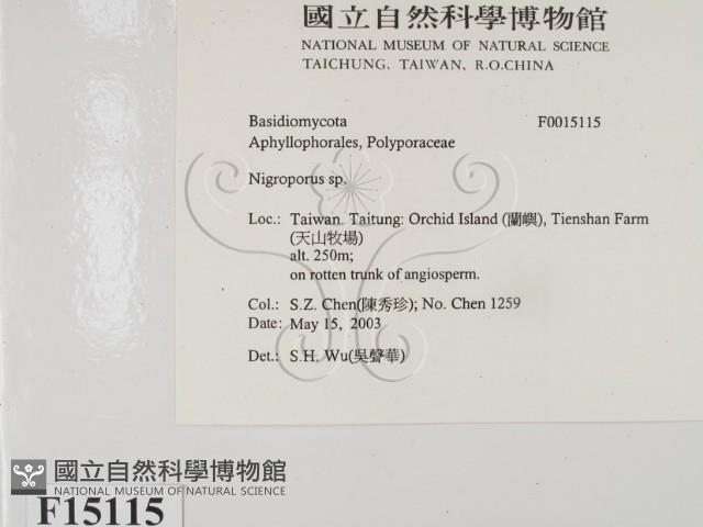登錄號:F0015115藏品圖，第2張