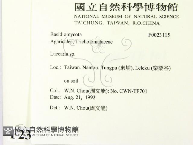 登錄號:F0023115藏品圖，第2張