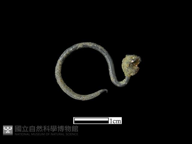 耳環藏品圖，第1張