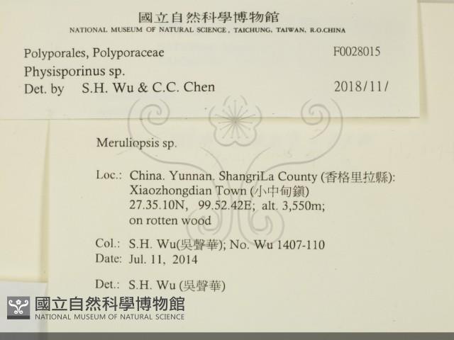 登錄號:F0028015藏品圖，第2張