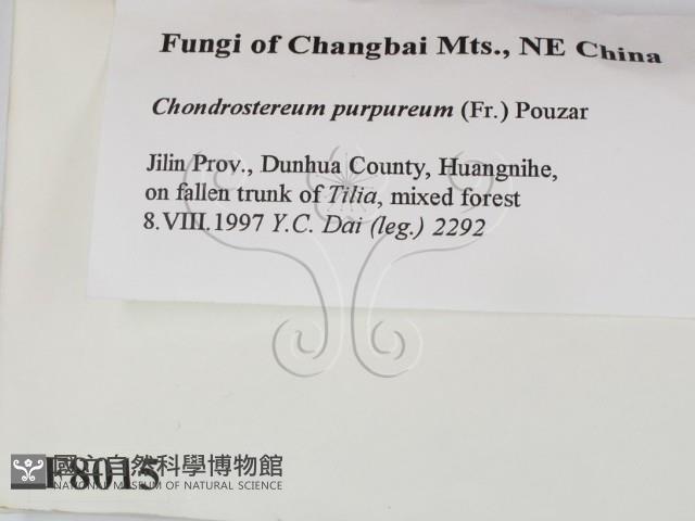 登錄號:F0008015藏品圖，第2張