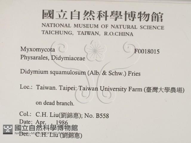 登錄號:F0018015藏品圖，第2張