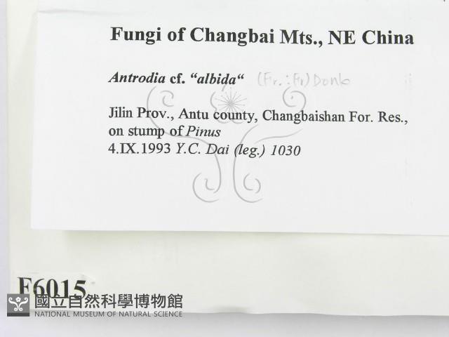 登錄號:F0006015藏品圖，第2張