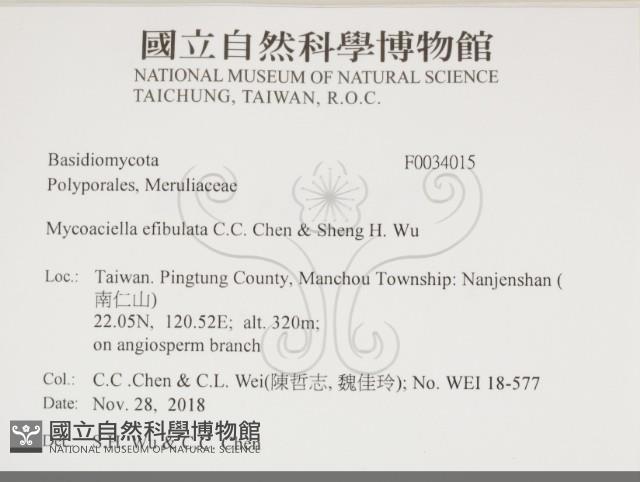 登錄號:F0034015藏品圖，第2張