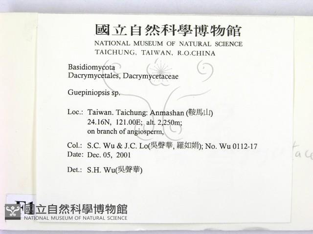 登錄號:F0015015藏品圖，第2張