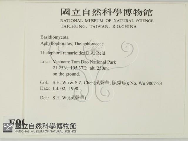 登錄號:F0009015藏品圖，第2張